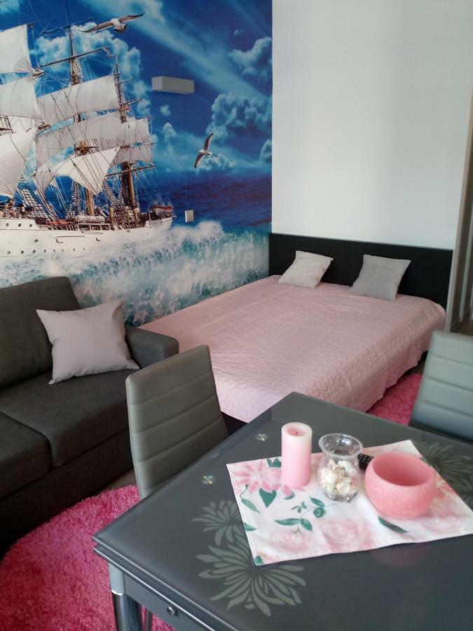 Apartament Slavia Rosa 米兹多洛杰 外观 照片