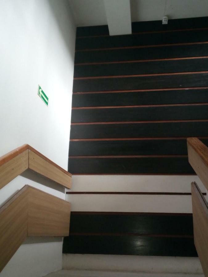 Apartament Slavia Rosa 米兹多洛杰 外观 照片