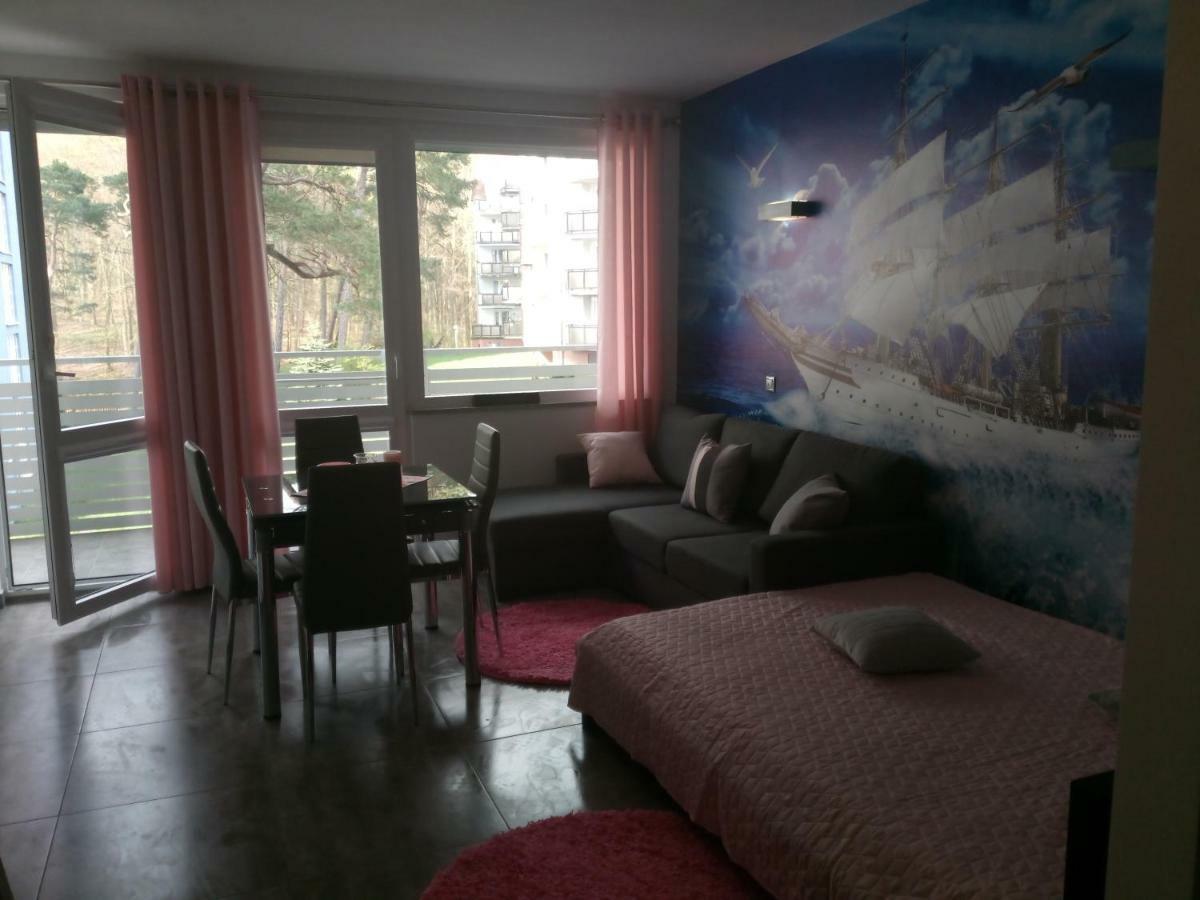 Apartament Slavia Rosa 米兹多洛杰 外观 照片