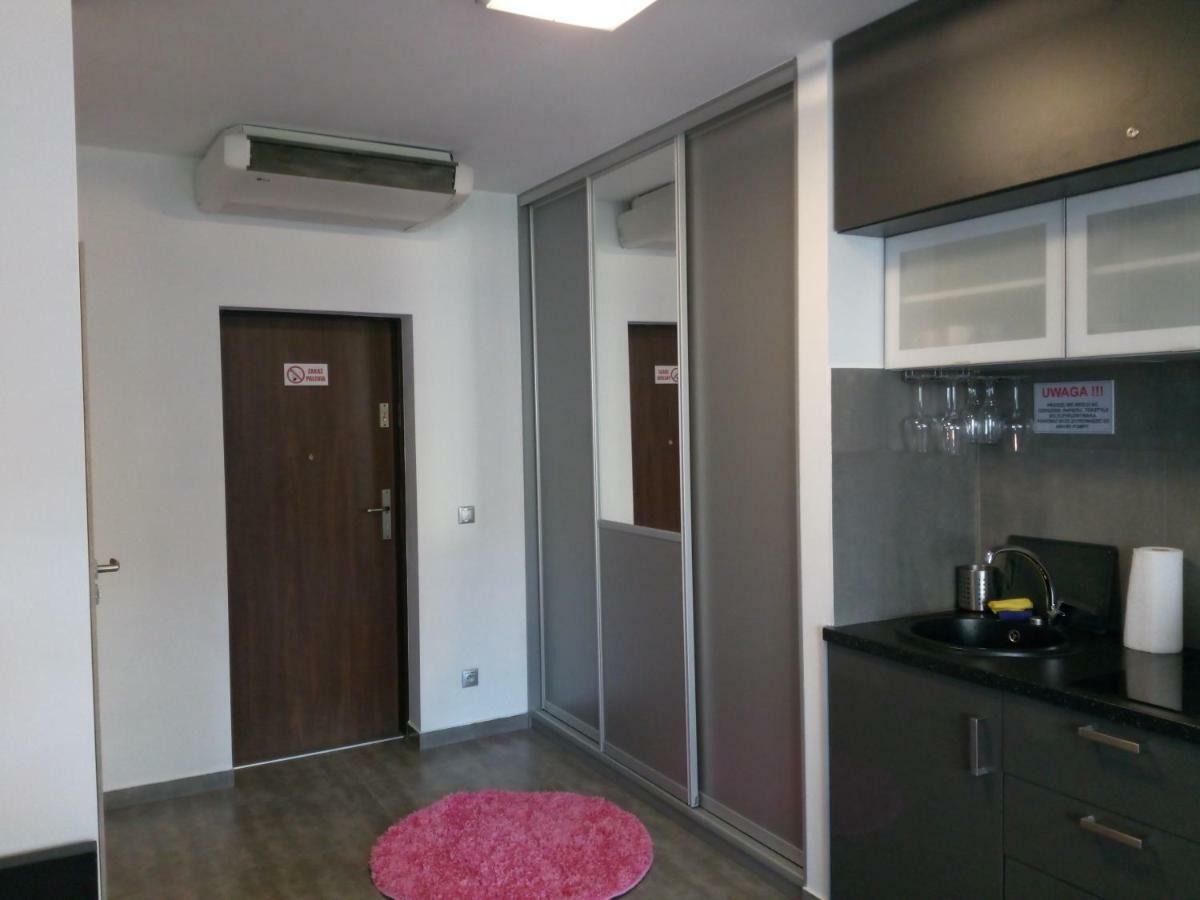 Apartament Slavia Rosa 米兹多洛杰 外观 照片